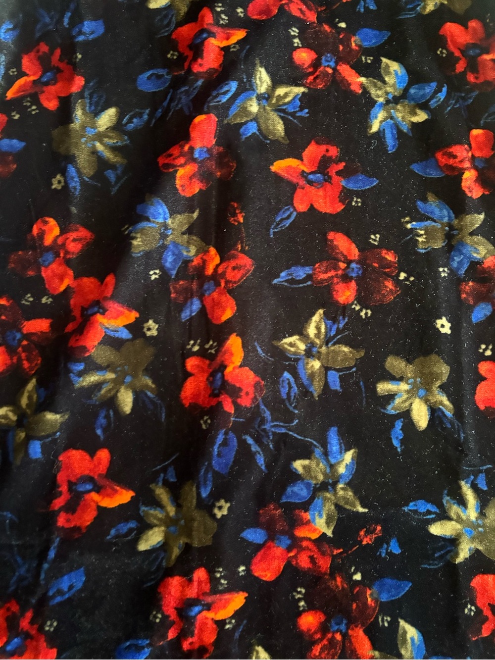 Nasty Gal Black Velvet Maxi Dress with Red and Blue Floral Print - Picture 2 of 9
